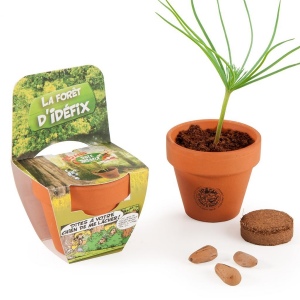 KIT DE CULTURE AVEC FRONTON POT TERRE CUITE