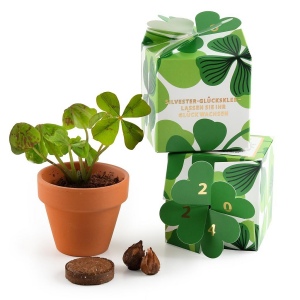 KIT DE PLANTATION BOITE AVEC GRAINES POT TERRE CUITE 65 MM