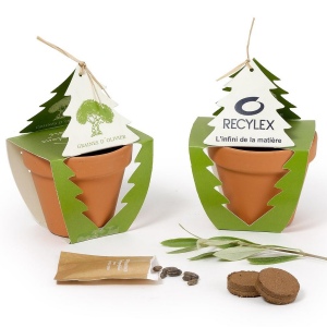 KIT DE PLANTATION REPLANTONS UN ARBRE 80 MM