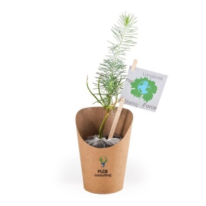 Petit arbre en pot cartonn faon wrap