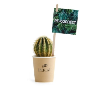 Cactus en pot gobelet carton - Cactus