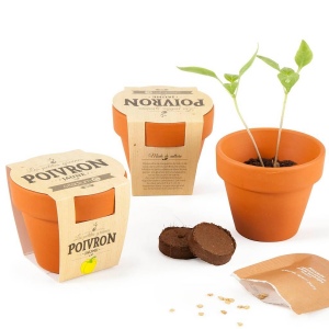 KIT DE CULTURE TERRE CUITE 65 MM
