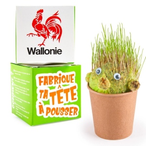 KIT DIY TETE A FAIRE POUSSER