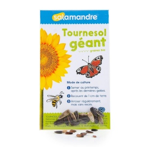 SACHET TRANSPARENT AVEC GRAINES