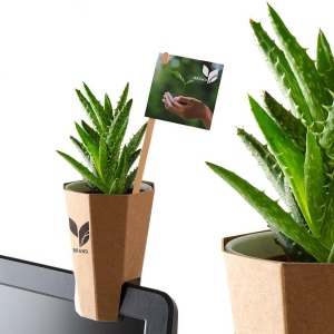 Porte plante d'ordinateur kraft - haworthia