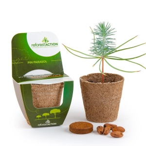 KIT DE PLANTATION BIODÉGRADABLE AVEC FRONTON