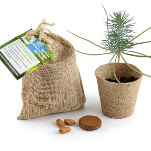 POCHON JUTE AVEC KIT DE CULTURE EN TOURBE