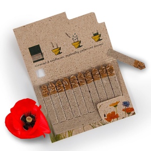 Carte 10 Allumettes avec graines biodégradable