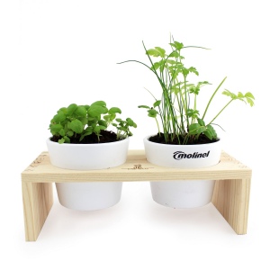 Plateau Duo aromatiques