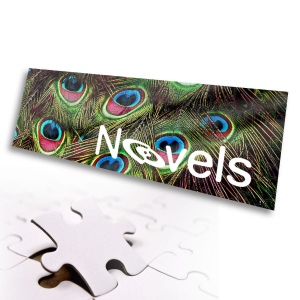 Puzzle panoramic 1000 pièces avec boîte