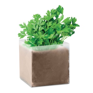 PARSELY - Substrat avec graines Persil