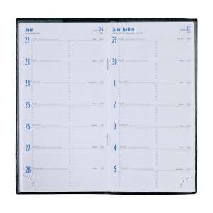 Agenda 15 j pvc gomme marbre (+Quadri numérique QV11)