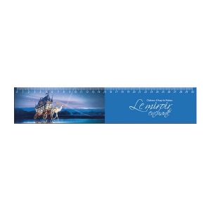 Magnet 0.5 mm 131 a 200 cm2 (+Quadri numérique QV11)