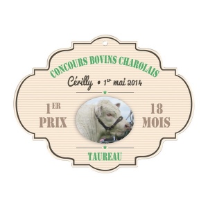Pvc calandre 1 mm 51/108 cm2 (+Quadri numérique QV12)