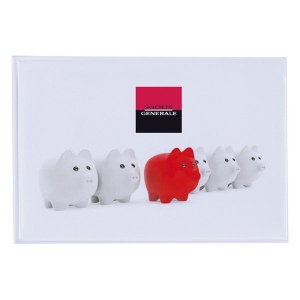 Etui 1 carte pvc standard (+Quadri numérique QV11)