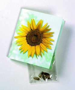 Carte mailing graine Shovi
