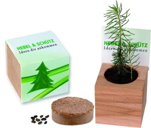 Cube nature Mouthe