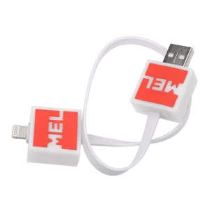 Cable usb personnalisé