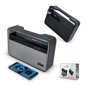 HAUT PARLEUR, ENCEINTE BT SANS FIL & RADIO FM, 10 W (2x 5 W)