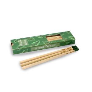 Coffret 3 crayons à graines couleur