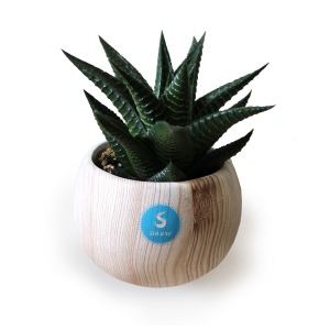 Plante pot céramique aimanté effet bois