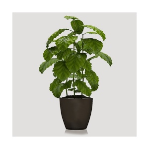 Flower Pot made from coffee waste Big