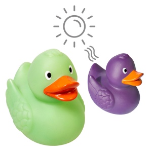 Canard Magique