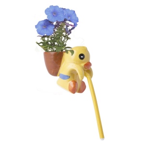 Pot de Fleurs - Chupon