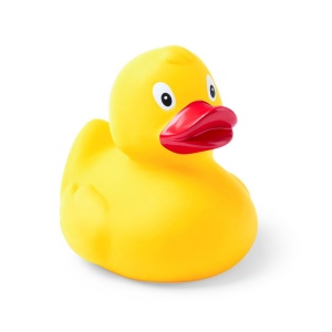 Canard - Koldy