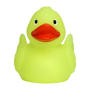 Canard