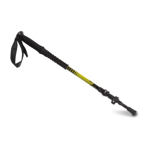 Bâton de trekking télescopique