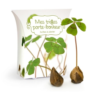 BOÎTE GOOD LUCK AVEC BULBES TRÈFLES 4 FEUILLES