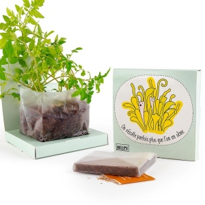 KIT CARRÉ COCO BOX AVEC GRAINES À SEMER