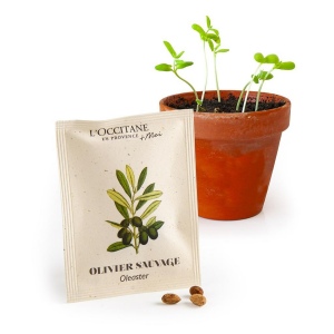 SACHET DE GRAINES FIBRE DE TOMATE 62 x 80 MM