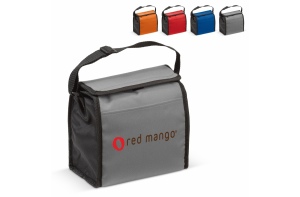 Cooler bag small