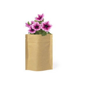 Pot de Fleurs - Sober