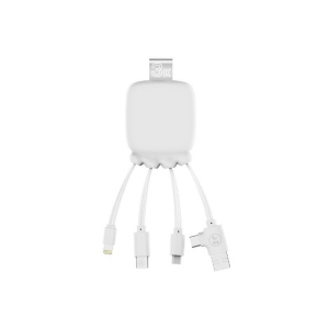 Gamma - Câble de charge et power bank 3000 mAh