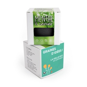 Kit pot ardoise graines menthe