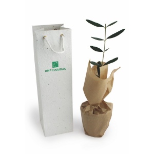 Plant d'arbre dans un sac papier graines - Prestiges