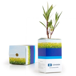 Petit arbre en boite cube - Laurier Rose