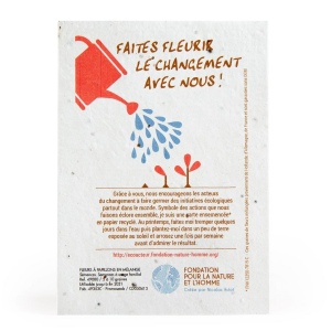 CARTE GRAINES À PLANTER A6 - 140 g recto
