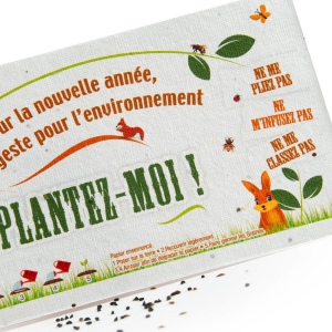 FLYER EN PAPIER DE GRAINES 140 g Recto