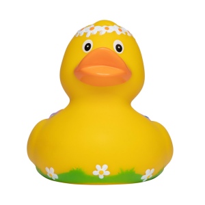 Canard voyage