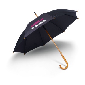 Parapluie de ville