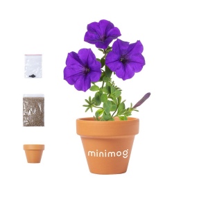Pot de Fleurs - Soltax