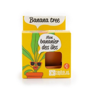 Kit terre cuite - bananier