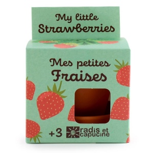 Kit terre cuite - fraisier