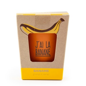 Kit message - j'ai la banane - bananier