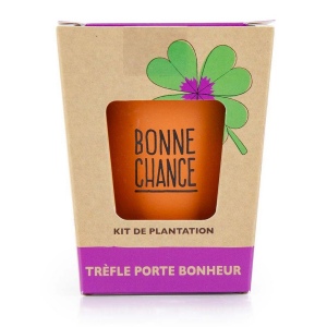 Kit "bonne chance" - trèfle à 4 feuilles