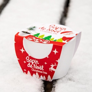 Pot céramique blanc 8 cm Sapin de Noël